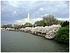 IMG_2945.jpg
