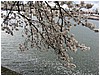 IMG_2999.jpg