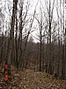 20061118_1201_009.JPG