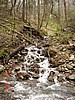 20061118_1219_019.JPG