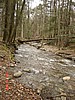 20061118_1230_026.JPG