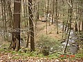 20061118_1241_027.JPG
