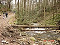 20061118_1251_031.JPG