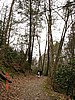 20061118_1251_032.JPG