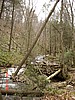 20061118_1251_033.JPG