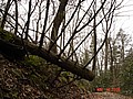 20061118_1252_034.JPG