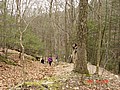 20061118_1256_035.JPG