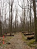 20061118_1257_036.JPG