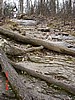 20061118_1307_042.JPG