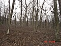 20061118_1309_044.JPG