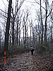 20061118_1320_046.JPG