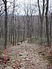 20061118_1328_050.JPG