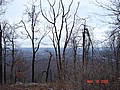 20061118_1340_061.JPG