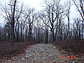 20061118_1341_063.JPG