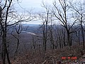 20061118_1404_067.JPG