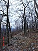20061118_1405_068.JPG
