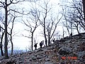 20061118_1409_072.JPG