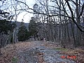 20061118_1454_105.JPG