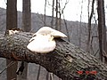 20061118_1518_125.JPG