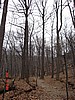 20061118_1519_126.JPG