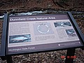 20061118_1526_128.JPG