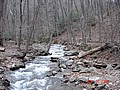 20061118_1528_131.JPG