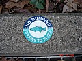 20061118_1547_142.JPG
