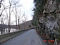 20061118_1550_144.JPG