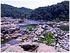 IMG_4527.jpg