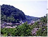 IMG_4535.jpg