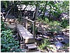 IMG_4542.jpg