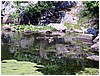IMG_4551.jpg
