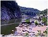 IMG_4558.jpg
