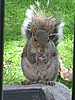 IMG_0563.JPG