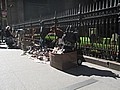 IMG_0570.JPG