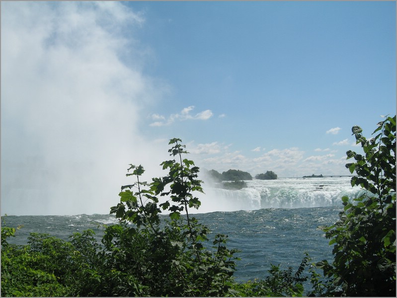 IMG_5295.JPG