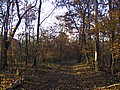 20061104_0733_003.JPG