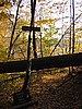 20061104_0753_032.JPG