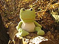 20061104_0756_038.JPG