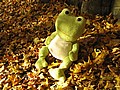 20061104_0800_044.JPG