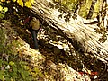 20061104_0846_111.JPG
