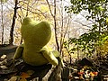 20061104_0857_122.JPG