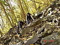 20061104_0857_123.JPG