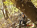 20061104_0858_126.JPG