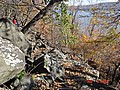 20061104_0907_133.JPG