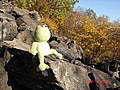 20061104_0938_206.JPG