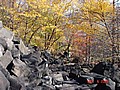 20061104_0939_208.JPG