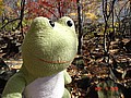 20061104_0940_214.JPG