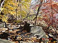 20061104_0940_215.JPG