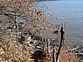 20061104_0946_223.JPG